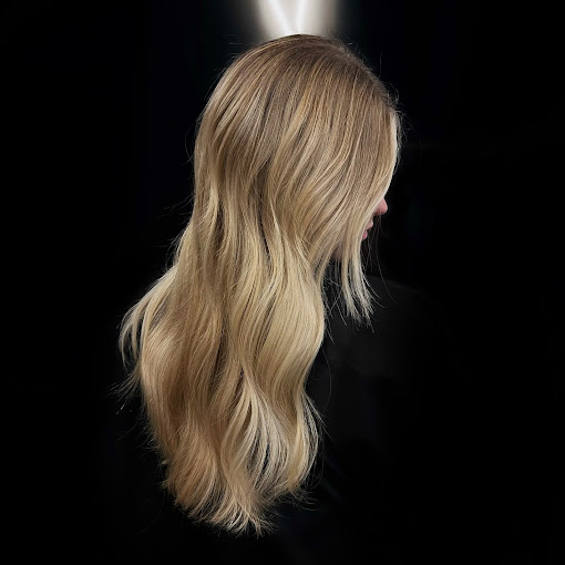 mod's hair Picpus