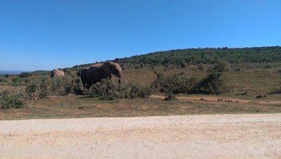 Photos of Addo forest cabins