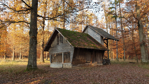 Wildbeobachtungskanzel - Thumbnail
