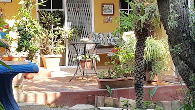 Photos of Entre Caf&eacute; Y Caf&eacute;