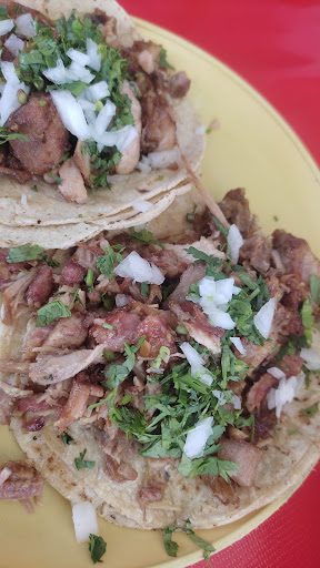 Carnitas Exquisitas - Thumbnail