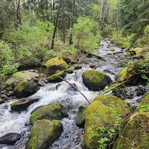 Steelhead Falls View Point