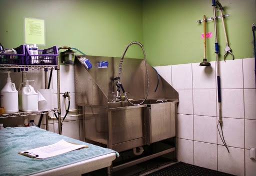 College Road Animal Hospital - Thumbnail