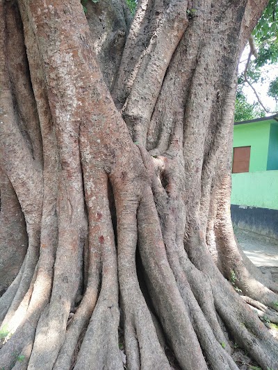 Photos of Kantapara Bus Stand