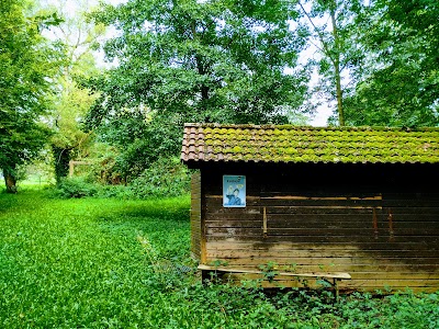 Photos of Bacchusstube