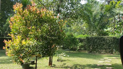 Photos of Dalmanuta Gardens