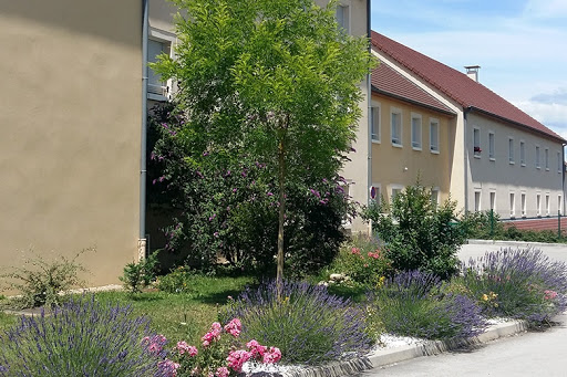 Photo de Colisée - EHPAD LES VERGERS DE LA BELAINE à Brazey-en-Plaine (21470)