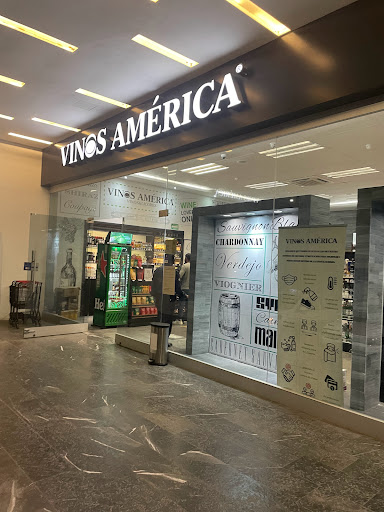 Vinos America San Luis Potosí