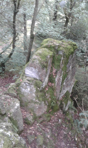 Forstreviere Kappenstein - Thumbnail