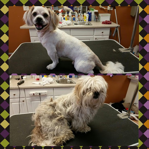 Maizey’s Groom Crew - Thumbnail