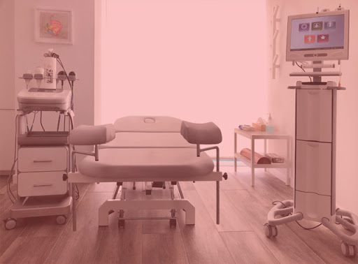 Fisioterapia Uroginecológica. Inés Aparicio.