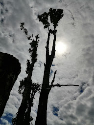 Photo n°11 de 2EVS à Vallières (Paysagiste)