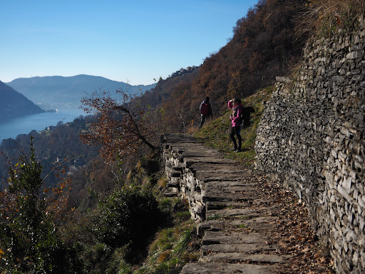 Sentee di Sort - Thumbnail