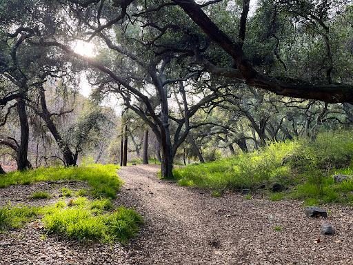 Big Dalton Wilderness Area Gallery - United States