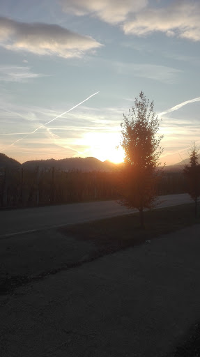 Centro Veneto Formaggi - Thumbnail