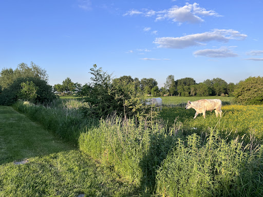 Zimmers Nordseehaus - Thumbnail