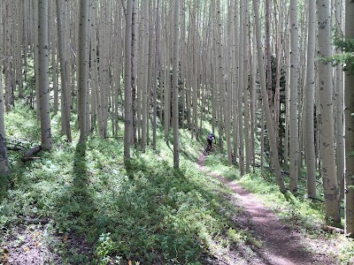 South Boundary Trail