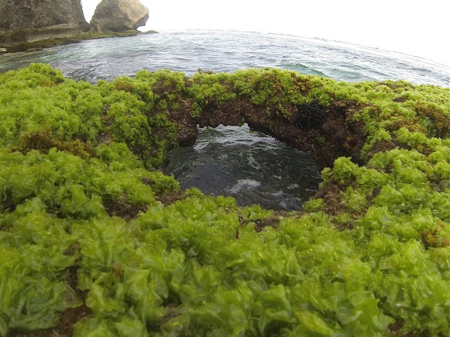 Uluwatu Surf Break