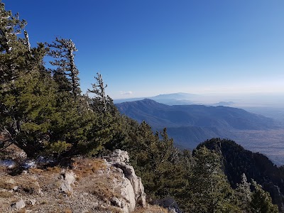 Cibola National Forest