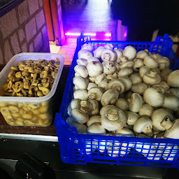 Photo n°11 de Au Bigouden à Saint-Aignan (Crêperie)