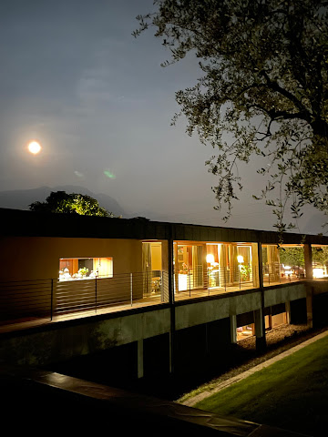 VIVERE suites and rooms by null