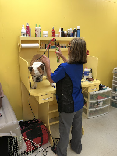 Bailey’s Pet Spa - Thumbnail