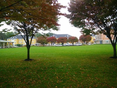Photos of University at Albany