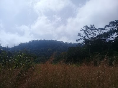 Photos of Mount Nimba Strict Nature Reserve