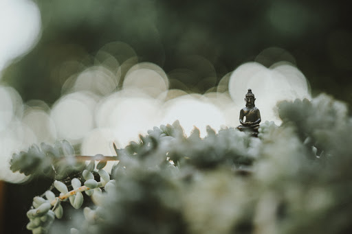 Yoganic - Visual