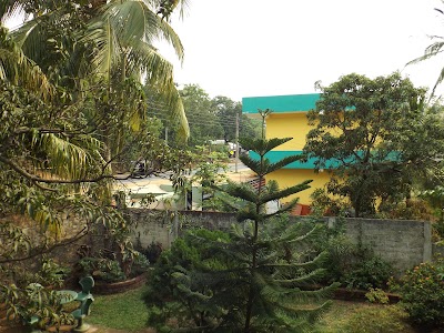 Photos of Hotel Oshin