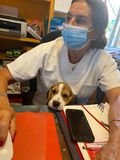 Clínica Veterinaria El Viso