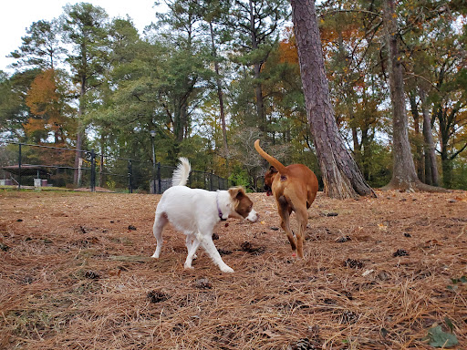 Glenlake Dog Park