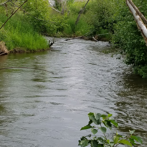 Funny River Campground - Thumbnail