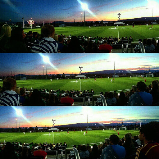 Clyde Field - Visual