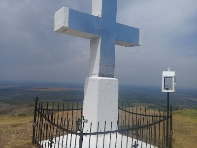 Photos of Movila Măgura