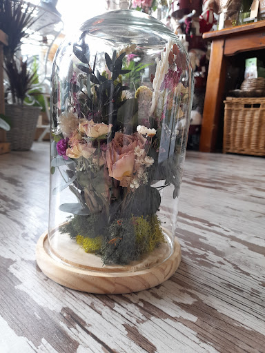 FloreHadas - Visual
