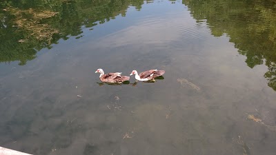 Photos of Little Creek Reservoir