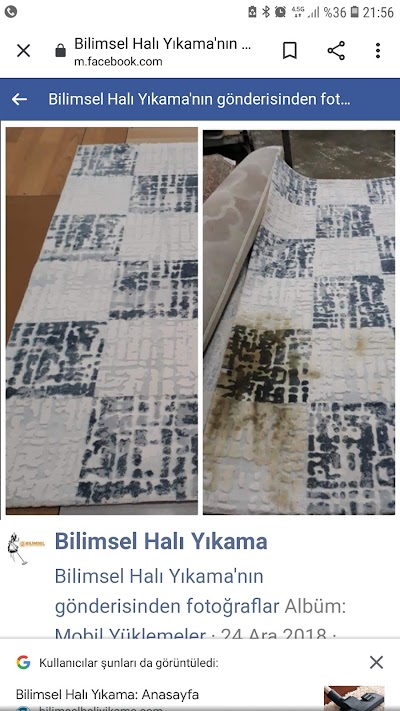 Bilimsel halı yıkama