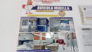 Avicola Mirella 0