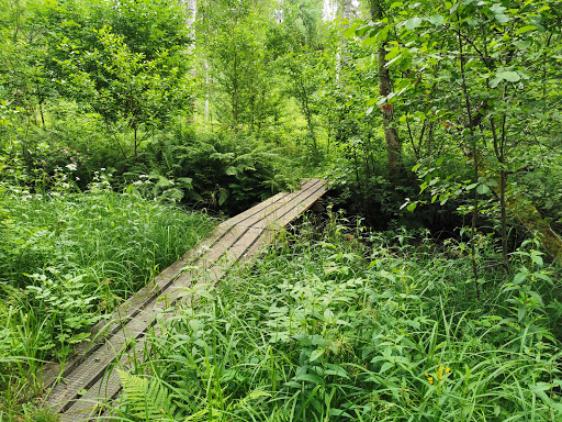 Järleån - Thumbnail