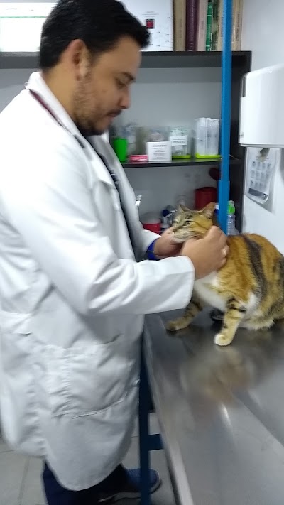 Photos of CLINICA VETERINARIA OTTOVET