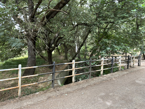 Parco marrogali - Thumbnail