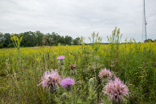 Oak Bluff Savanna Nature Preserve - Thumbnail
