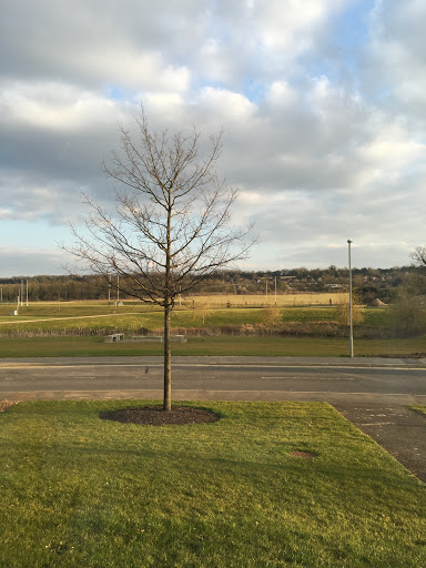 Surrey Sports Park (Stop S1) - Thumbnail