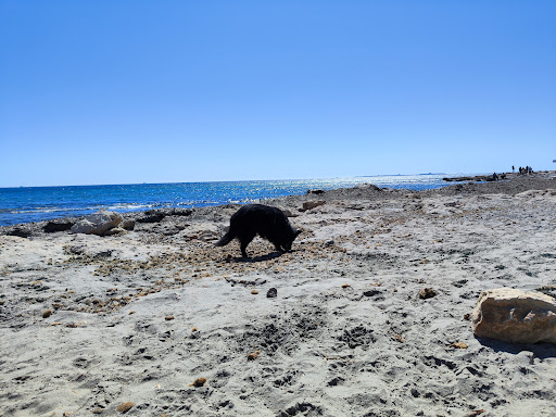 Platja per a gossos Santa Pola