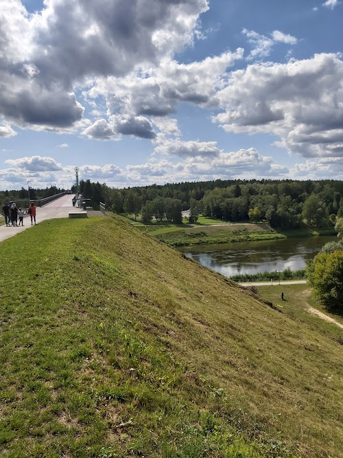 Alytus footbridge