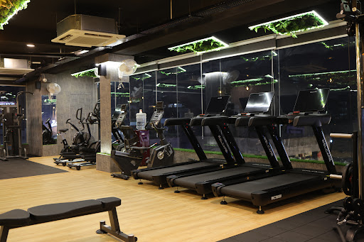 Signature - Fitness Studio
