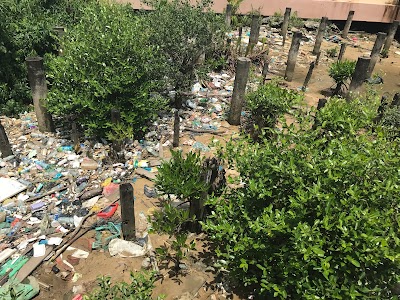 Photos of Water Village Gallery