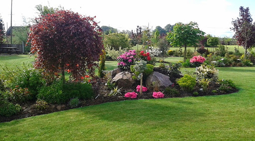 Photo de Paysage And Caux