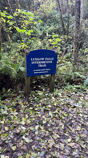 Ludlow Falls Trailhead - Thumbnail